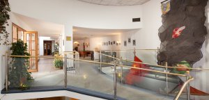 Hotel Concertino - Zlatá Husa