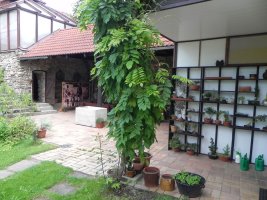 Pension Červená