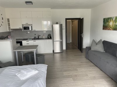 Apartmán Kapy Lipno