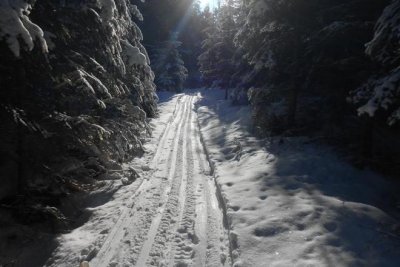 Tělovýchovná jednota Řásná