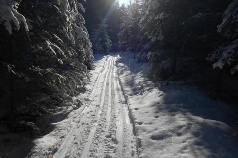 Tělovýchovná jednota Řásná