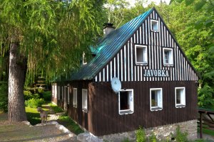 Roubenka Javorka
