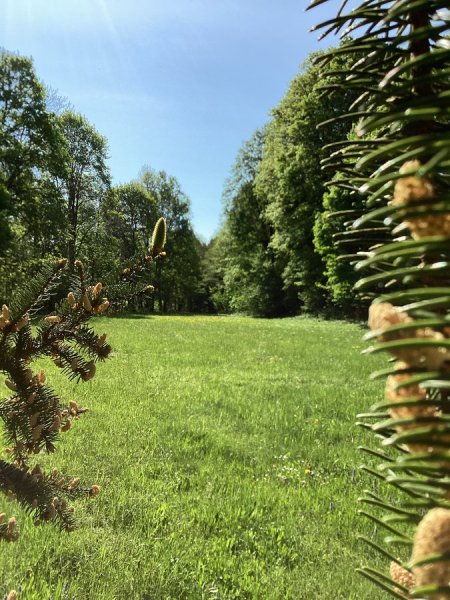 Penzion Anna v říční zátoce