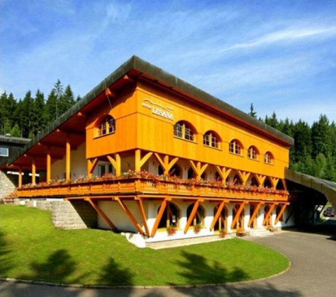 Hotel Lesana