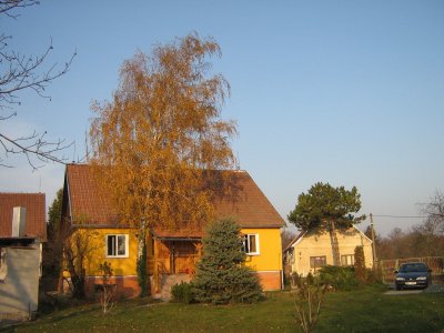Wernerpchalek