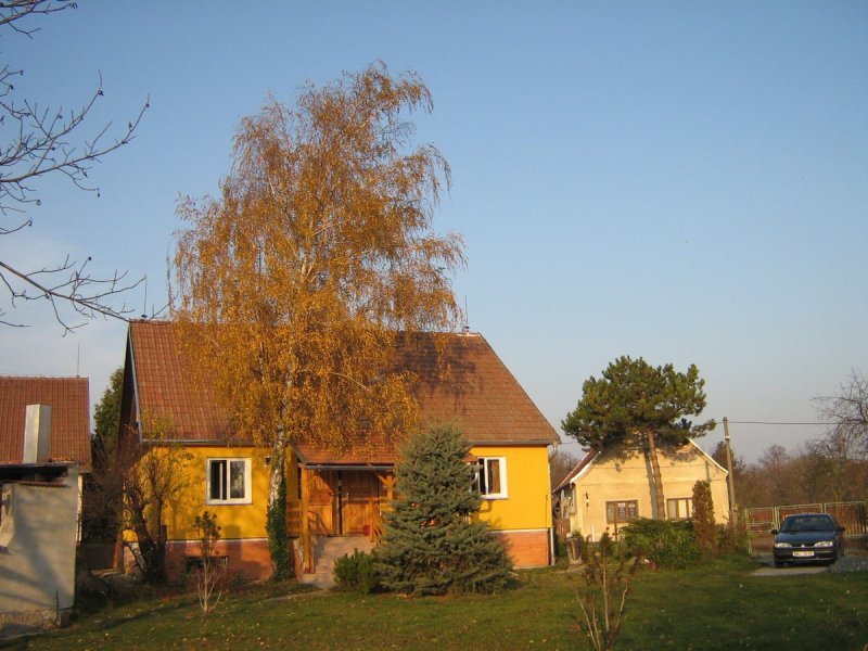 Wernerpchalek