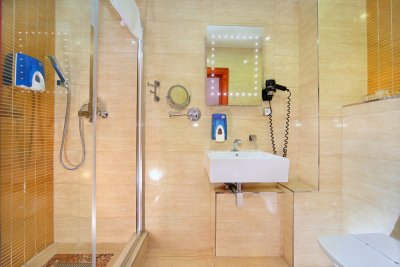 Hotel Lesana