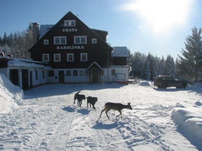 Chata Karolínka