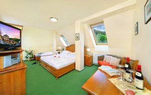 Hotel Partners s.r.o.