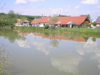 Ludmila Selucká