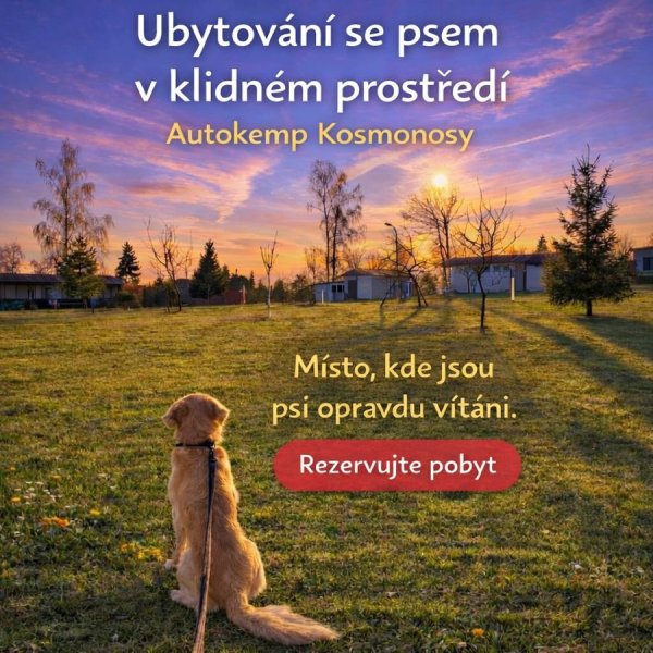 AUTOKEMP KOSMONOSY