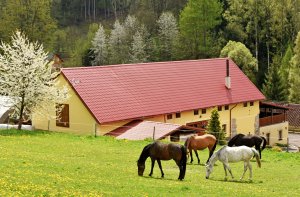 Penzion Tuček Adršpach