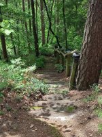 Chata na vrcholu Boreckých skal