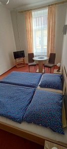 Penzion U Železných