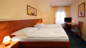 Hotel Palace Plzeň
