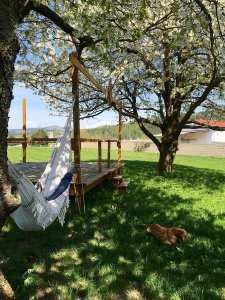 Ubytování Dřevěnice