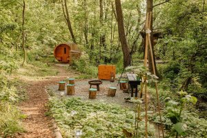Yurt In The Wood