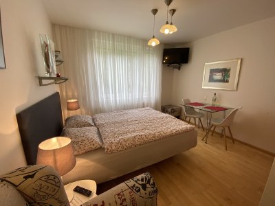 Apartmán u lesa