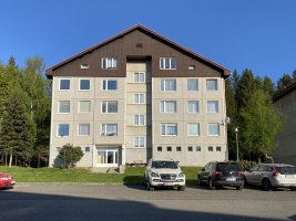 Apartmán u lesa