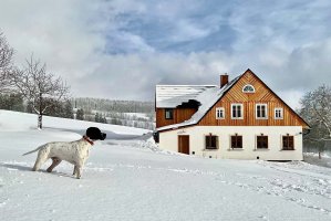 Ubytování Dead Fox