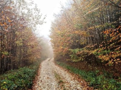 Chalupa v Rychlebech