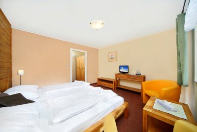 Hotel Erika