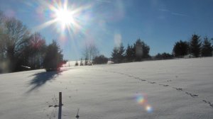 Pension Tvrz