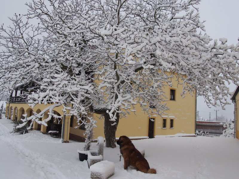 Penzion usedlost Veselka
