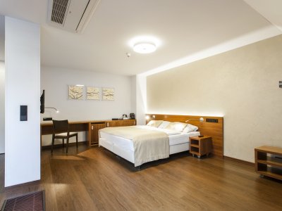 Hotel Carol
