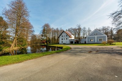 Ing. Josef Kotlaba - Rosenauerův mlýn