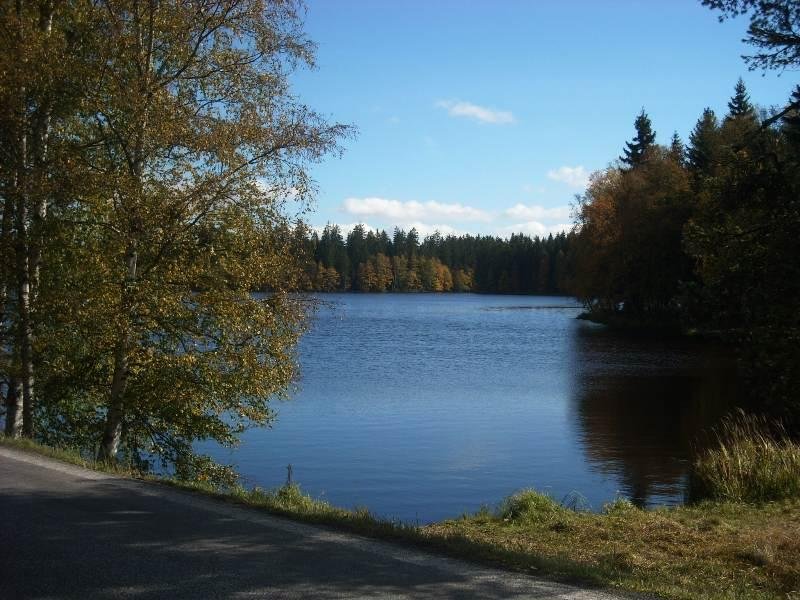 Božena Šurabová - Penzion 406