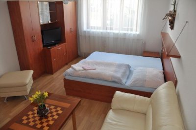Ing. Zdenka Růžičková