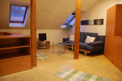 Apartmány U starého Labe