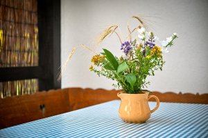 Ubytování v apartmánu Dvůr Králové nad Labem