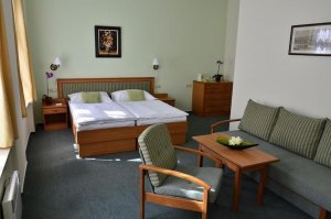 Hotel Castle residence