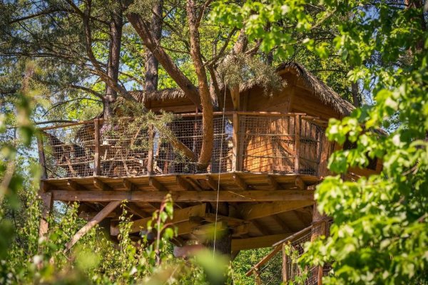 Glamping U tří borovic