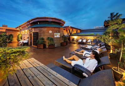 Wellness Hotel Step