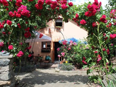 Jiří Ráček - Restaurace U Stodoly