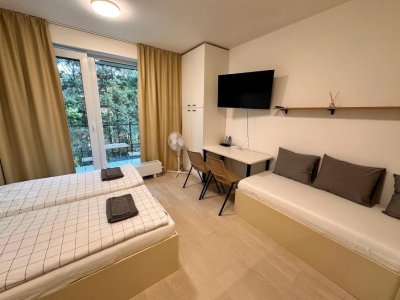 Flat in Brno