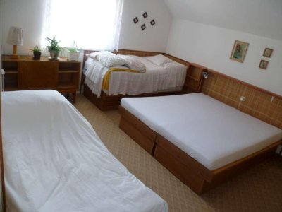 Jiřina Dubišarová