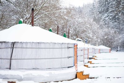 Mongolian Yurt Camp