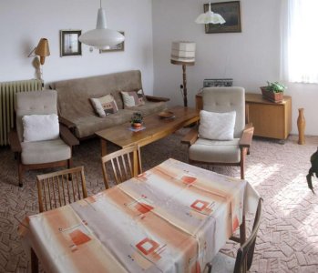 Jiřina Dubišarová