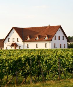 Vinný sklep u Osičků