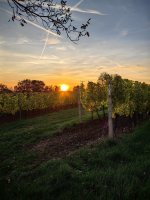 Penzion Svatoborský sklípek