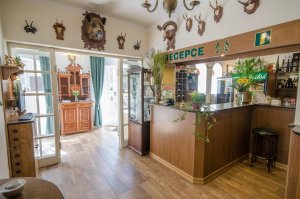 Lesní hotel Peršlák Nový Vojířov