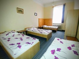 Villa Flora - ubytování v Žatci