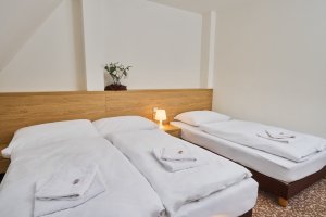 Hotel Zámek Velká Bystřice