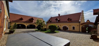 Statek Kopanina