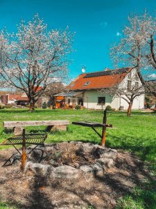 Apartmány Angelika