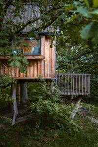 Cozy Treehouse dům na stromě